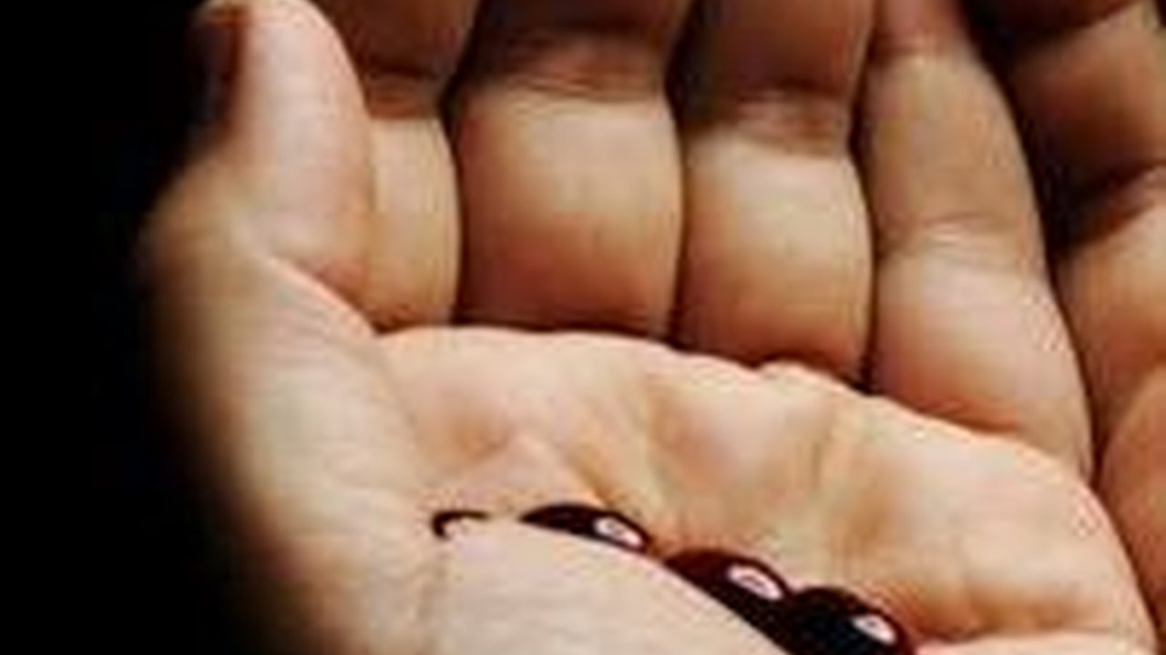 12 Doa Pagi Hari Sebelum Beraktivitas Sesuai Ajaran Rasulullah SAW, Umat Islam Harus Tahu