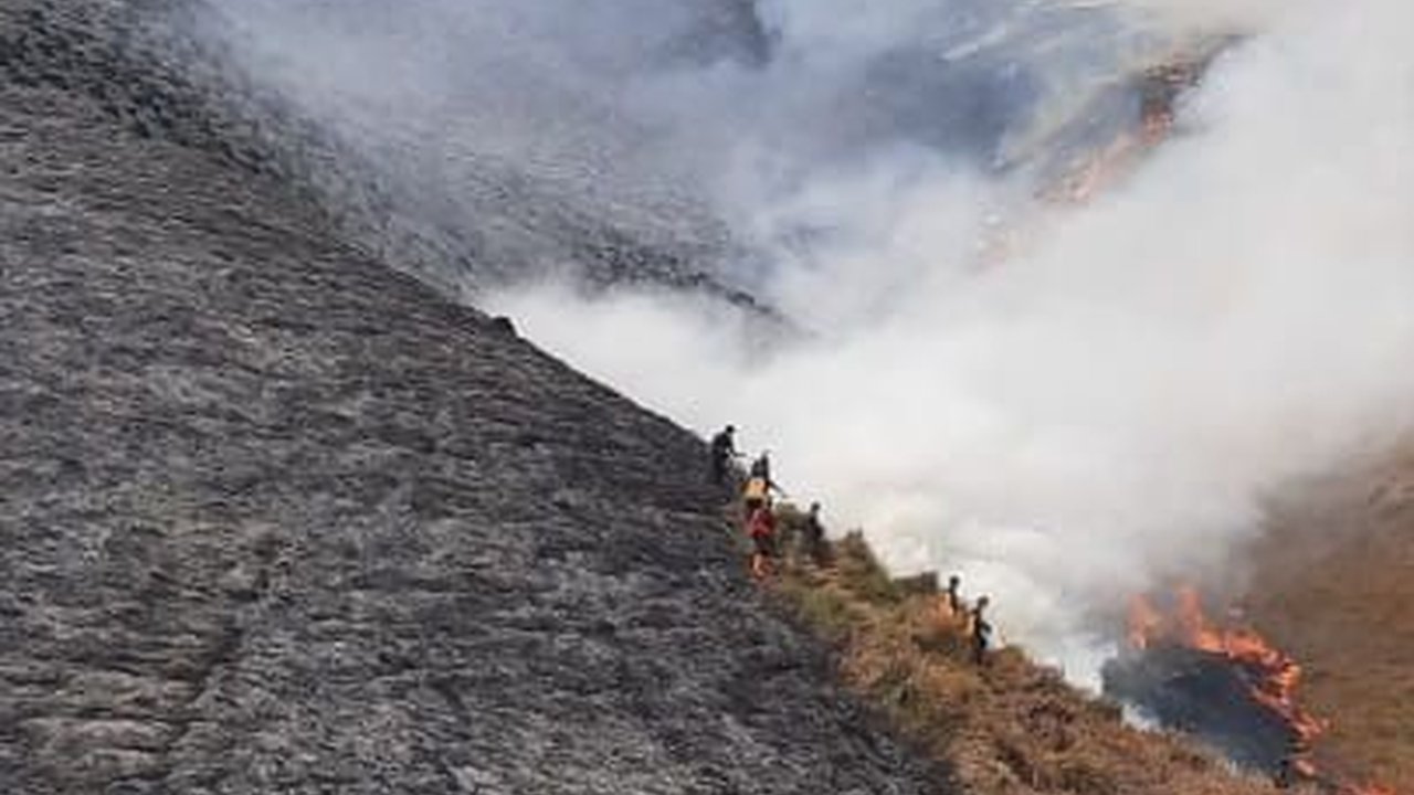 Kebakaran Bukit Teletubbies Bromo Diduga Akibat Flare Prewed, Manajer Wedding Organizer jadi Tersangka