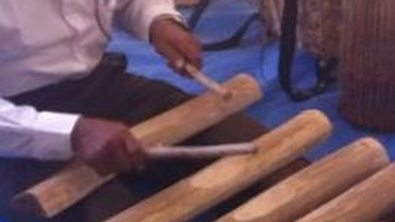 Mengenal Canang Kayu, Alat Musik Tradisional Khas Aceh Singkil