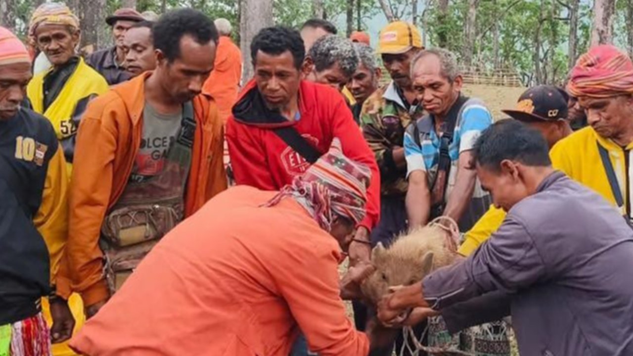 Ritual Sanksi Adat Akibat Langgar Kawasan Hutan Lindung