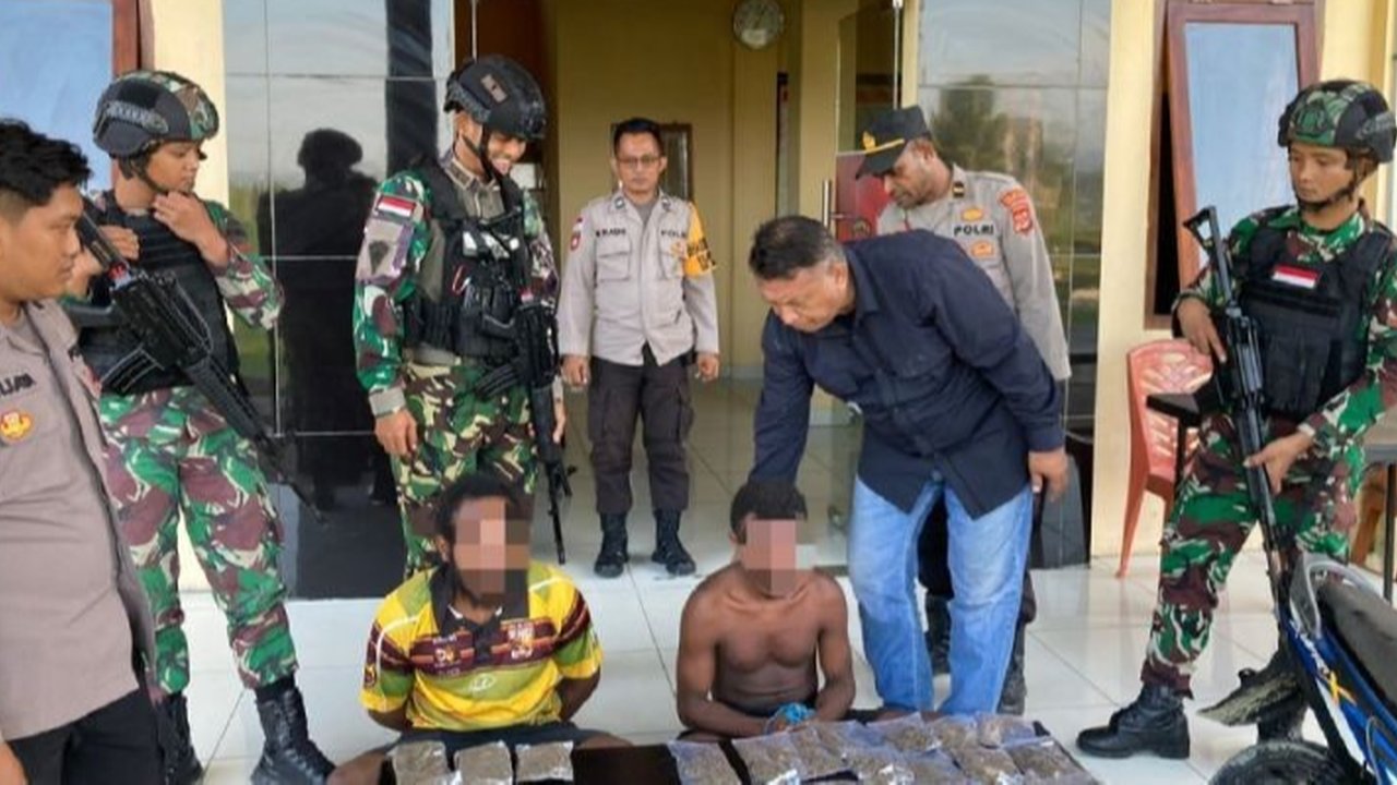 Polisi Ringkus Pemilik 35 Paket Ganja Kering di Jayapura