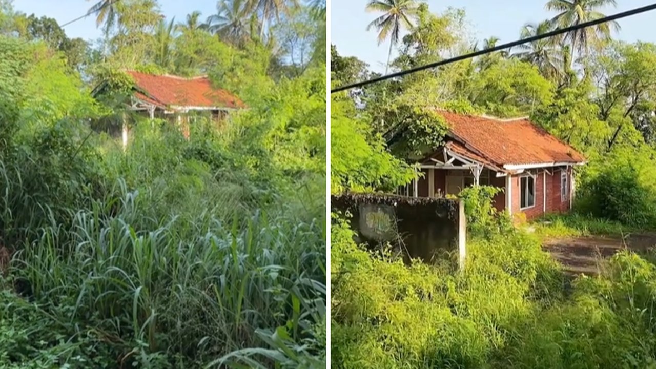 Pria Ini Temukan Rumah Terbengkalai di Tepi Jalanan, Penampakannya Bikin Ngeri