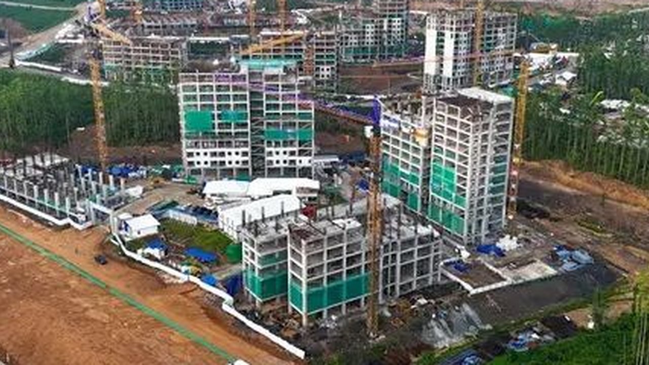 Pemerintah Sewa 1.000 Mobil untuk Tamu HUT RI ke-79 di IKN, Alphard Sehari Rp25 Juta