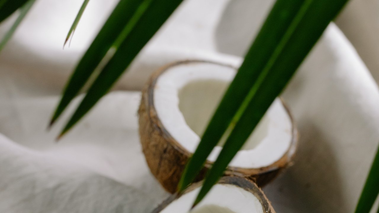 Bahaya Makan Kentos Kelapa, Ketahui Pula Manfaatnya bagi Kesehatan