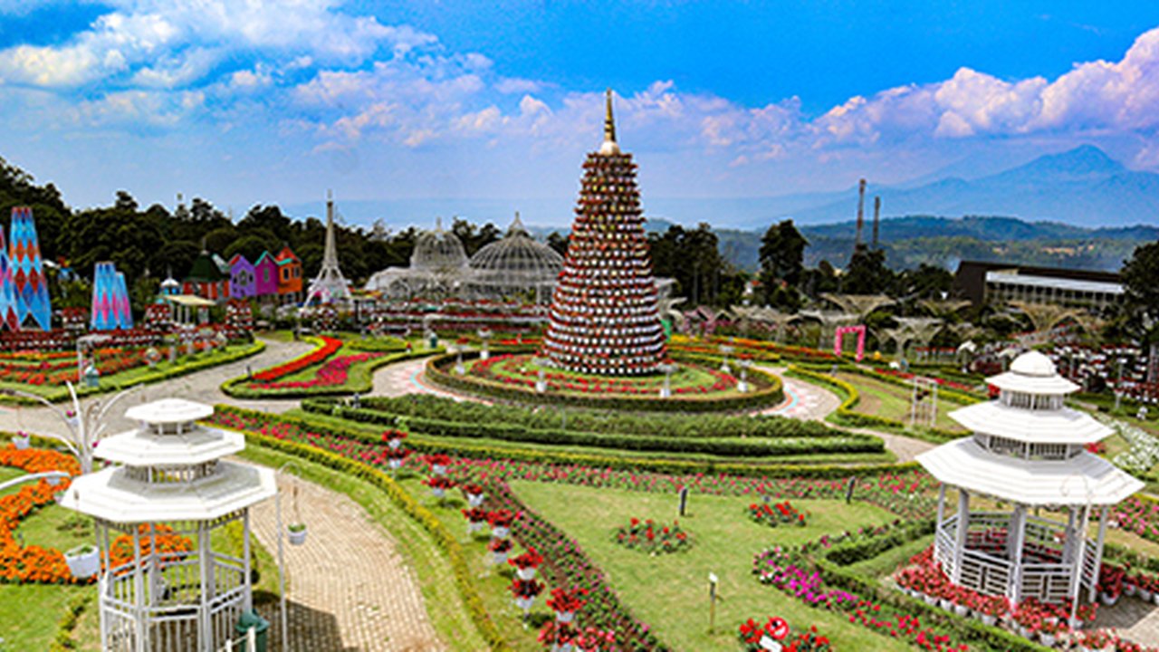 Taman Bunga Celosia