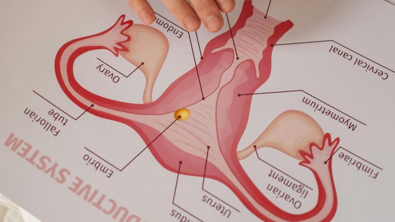 radang vagina