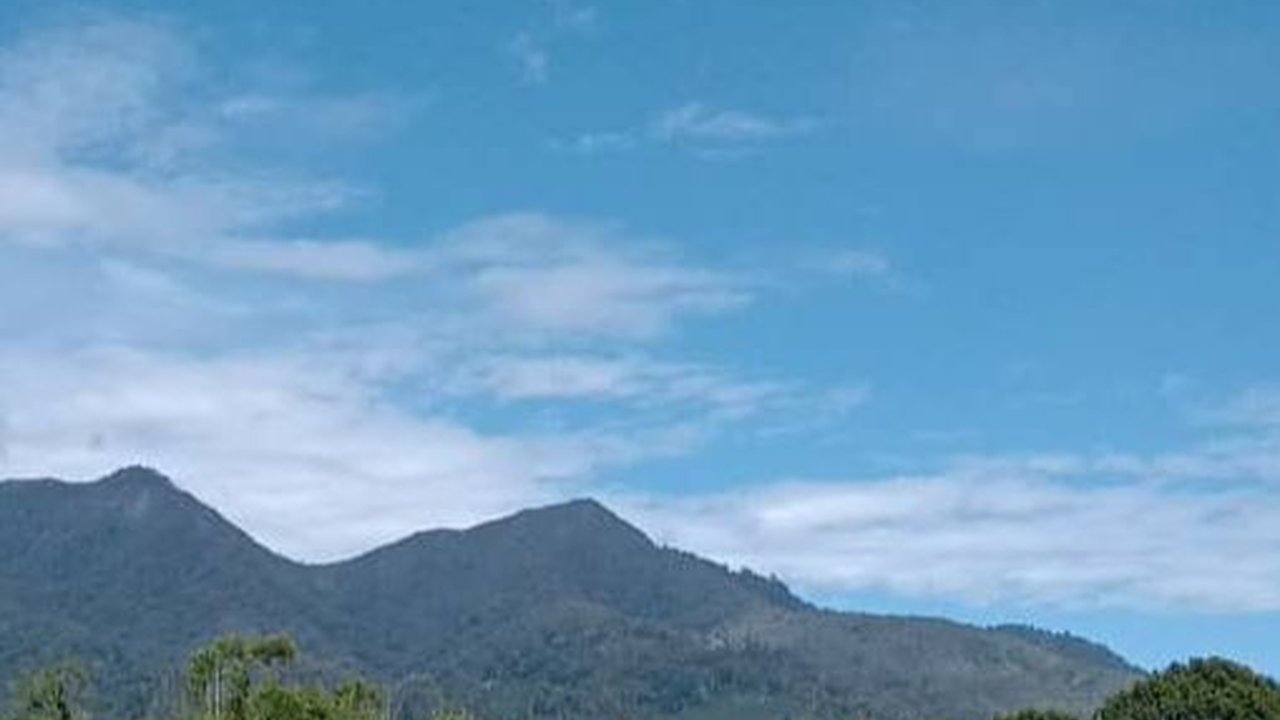 Terkenal Rute Pendakian yang Sulit, Ini Fakta Menarik Gunung Pesagi di Lampung