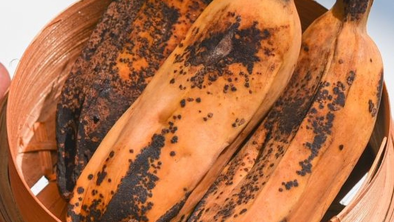 Simpan Banyak Manfaat, Buah Pisang Rebus Tak Sekadar Jajanan Jadul