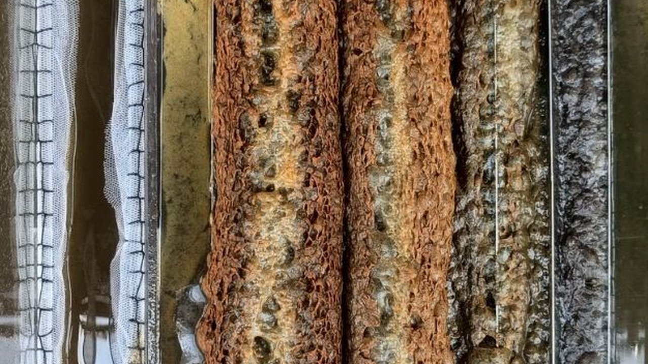 Ekspor Perikanan Tak Capai Target, Menteri Trenggono Beri Alasan Begini