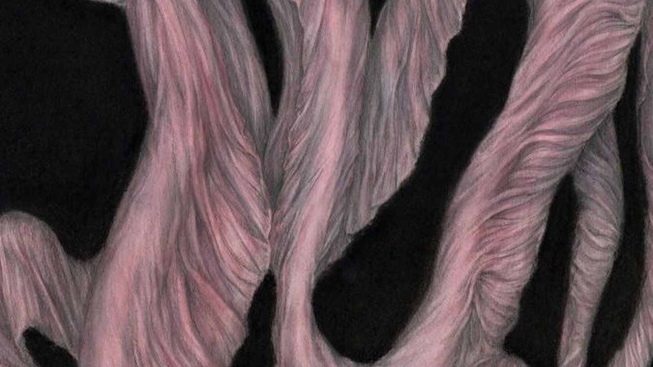 Untuk Pertama Kali dalam Sejarah, Wujud Hewan Laut Ini Tertangkap Kamera