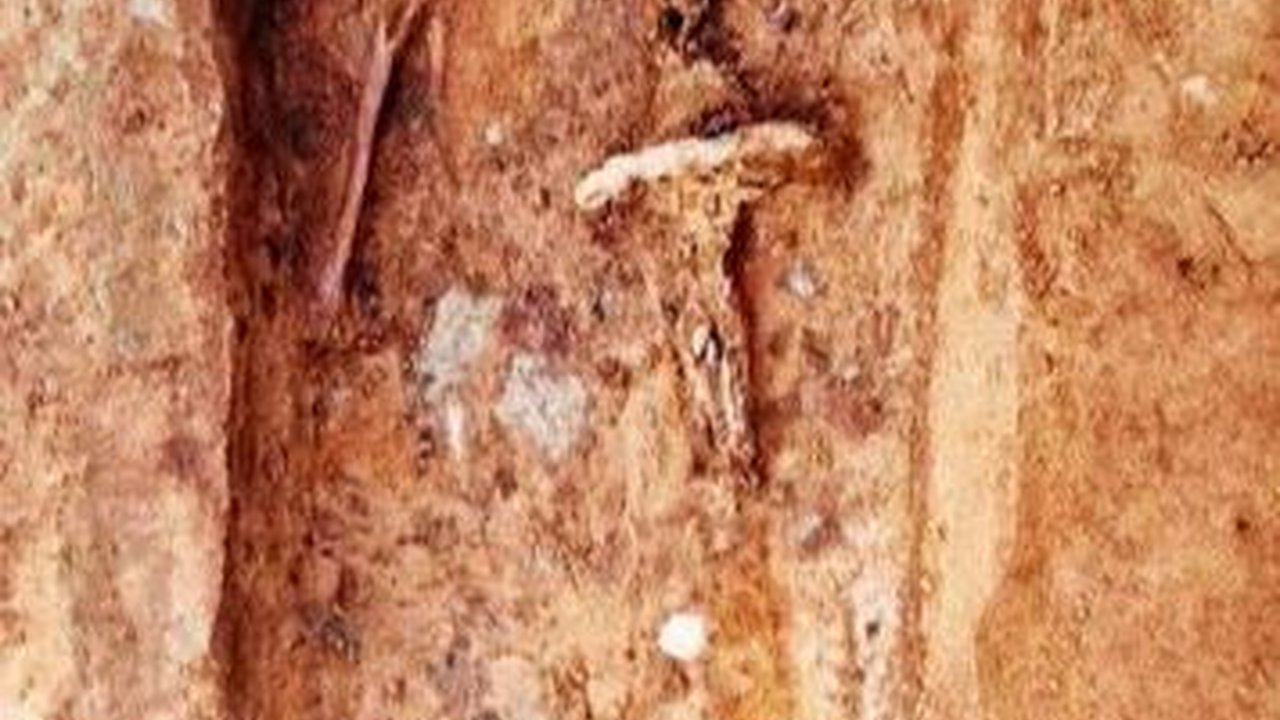Makam Kuno Berisi Kerangka Manusia Terkubur dengan Pedang 1,2 Meter, Ternyata Sosok Pria Perkasa