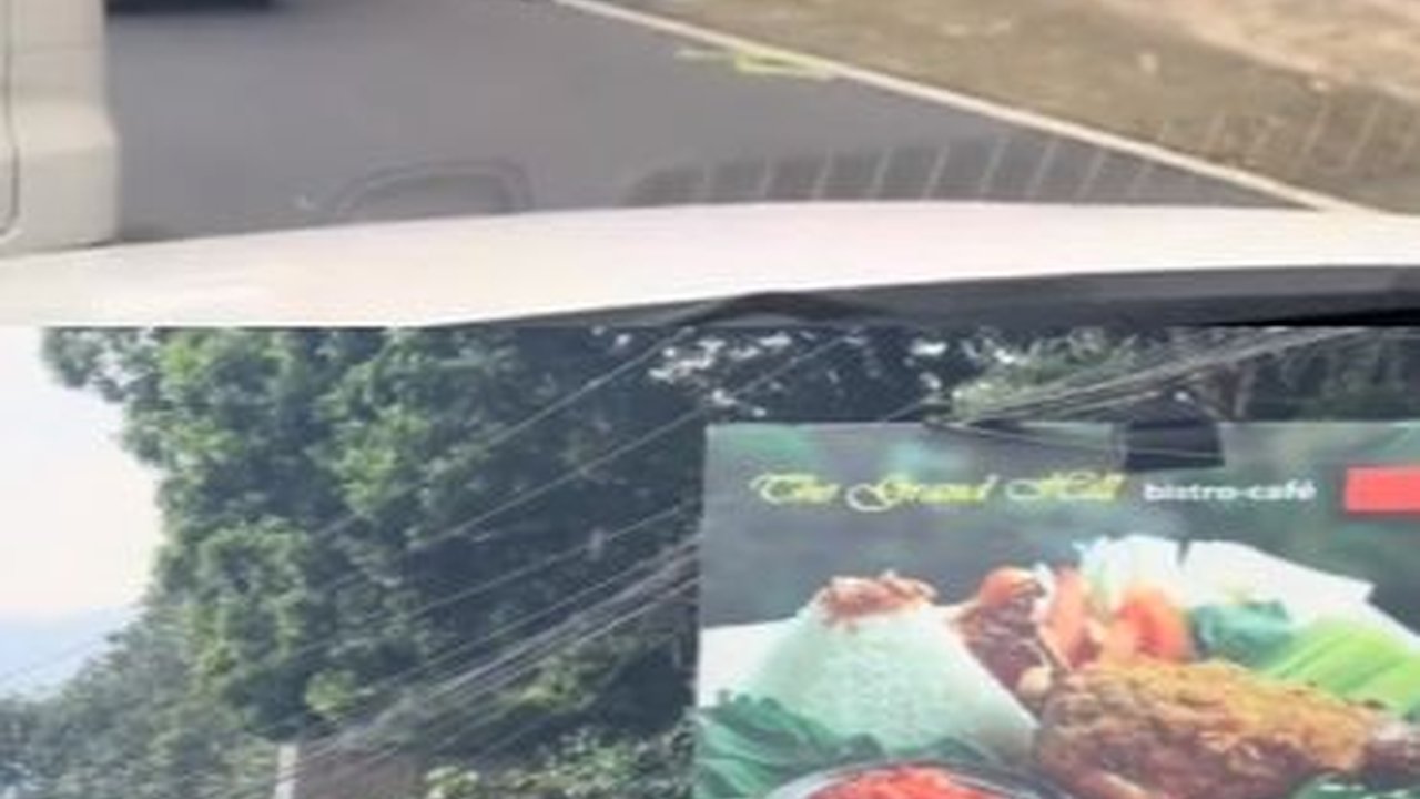 Viral Penampakan Ular Hijau Bikin Macet Jalan, Pemotor Takut Mau Lewat