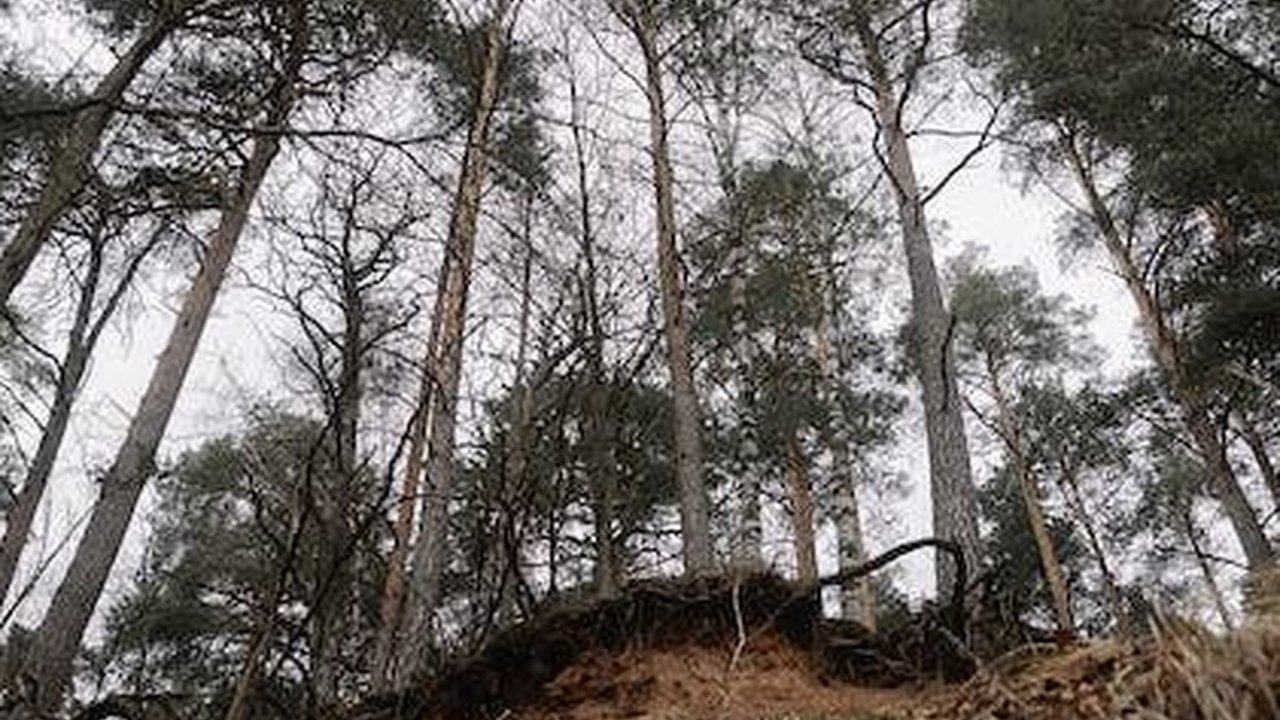 Dampak Cuaca Ekstrem Terjang Jateng, Sebabkan Longsor hingga Angin Kencang di Beberapa Tempat