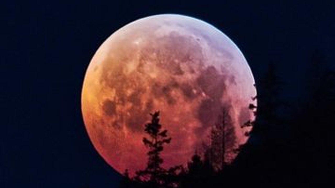 Keutamaan Bulan Rajab dan Cara Memuliakannya, Perlu Diketahui