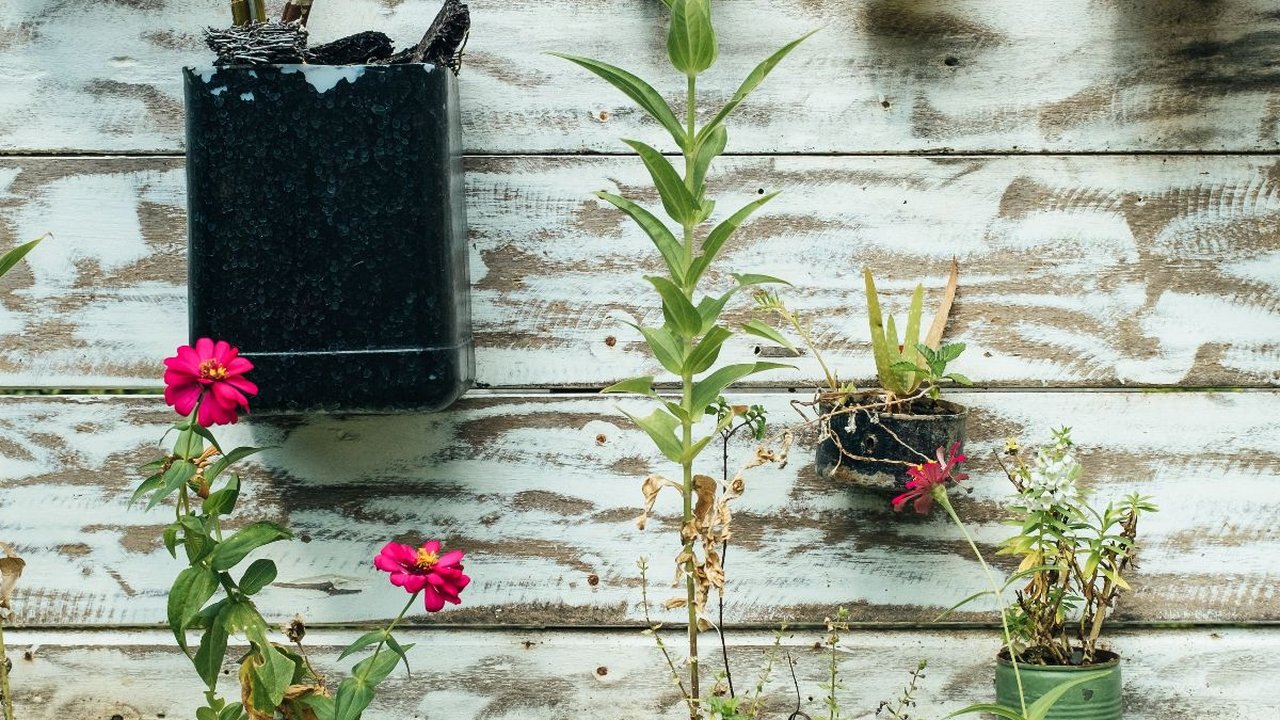 Stilasi adalah Penyederhanaan Ekspresi Seni, Pelajari Selengkapnya