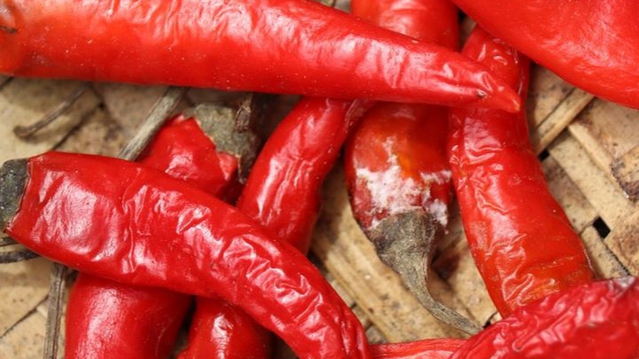 16 Januari Hari Makanan Pedas Sedunia, Ketahui Sejarah dan Manfaatnya