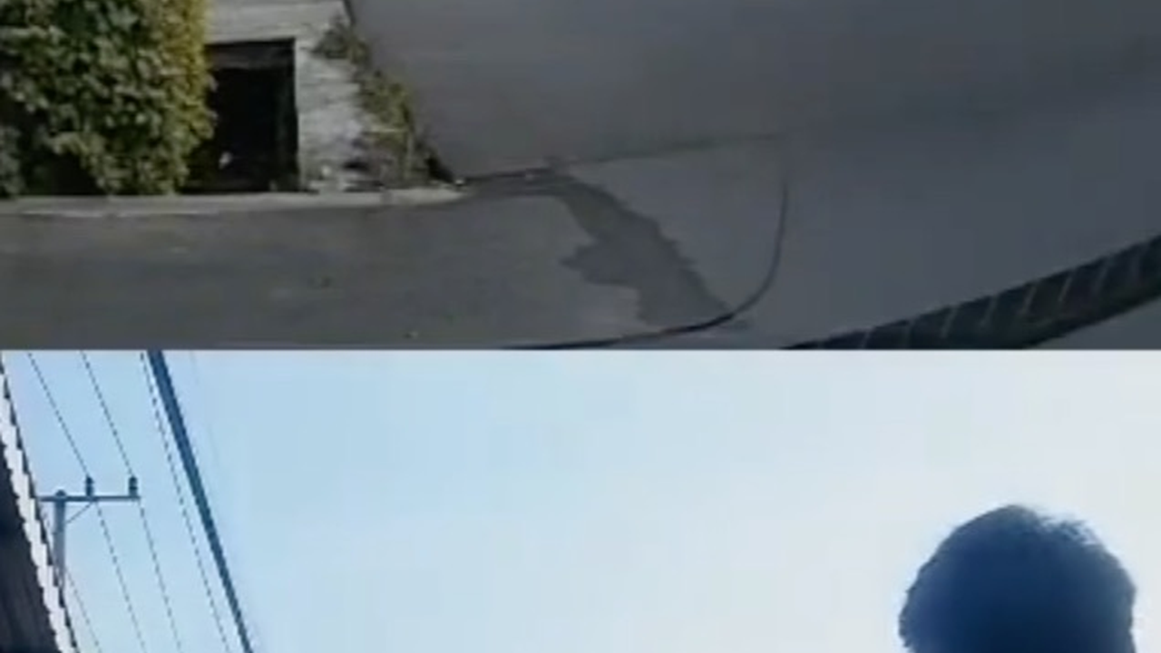 Viral Pelajar Kejar Mobil yang Ditabraknya untuk Minta Maaf, Respons Pengemudi Mobil Curi Perhatian