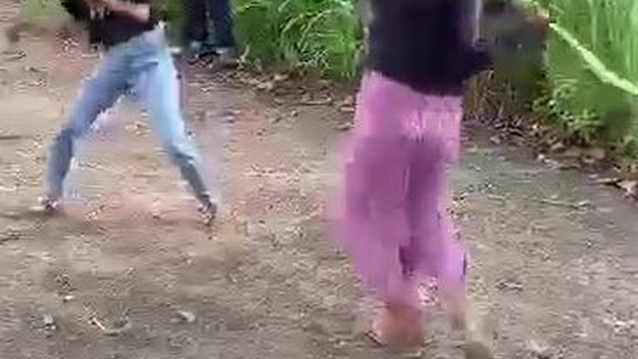 Identitas Dua Remaja Putri Duel Pakai Celurit Belum Terungkap, Ini yang Dilakukan Polisi