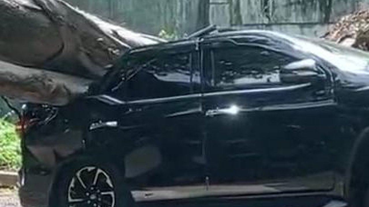 Ada Pohon Tumbang di Dekat Rumah Prabowo, Fortuner Ringsek