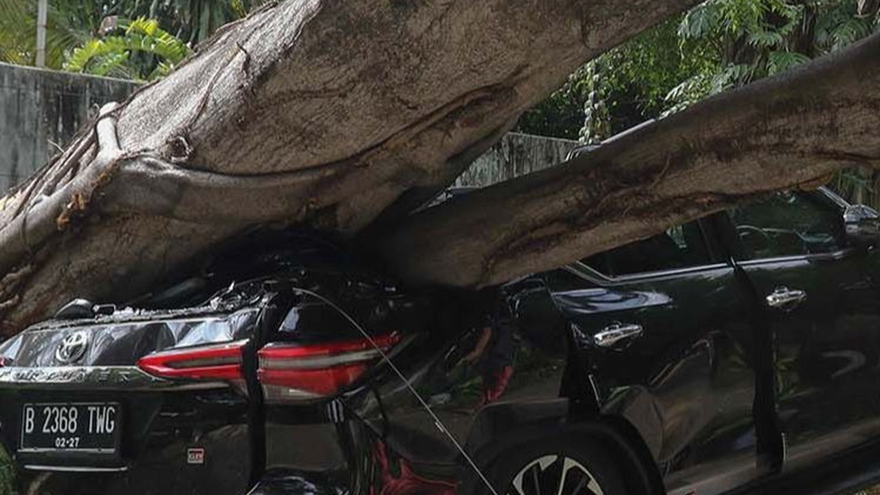FOTO: Cuaca Cerah, Pohon Besar di Dekat Rumah Prabowo Tiba-Tiba Tumbang dan Timpa Mobil Sampai Ringsek