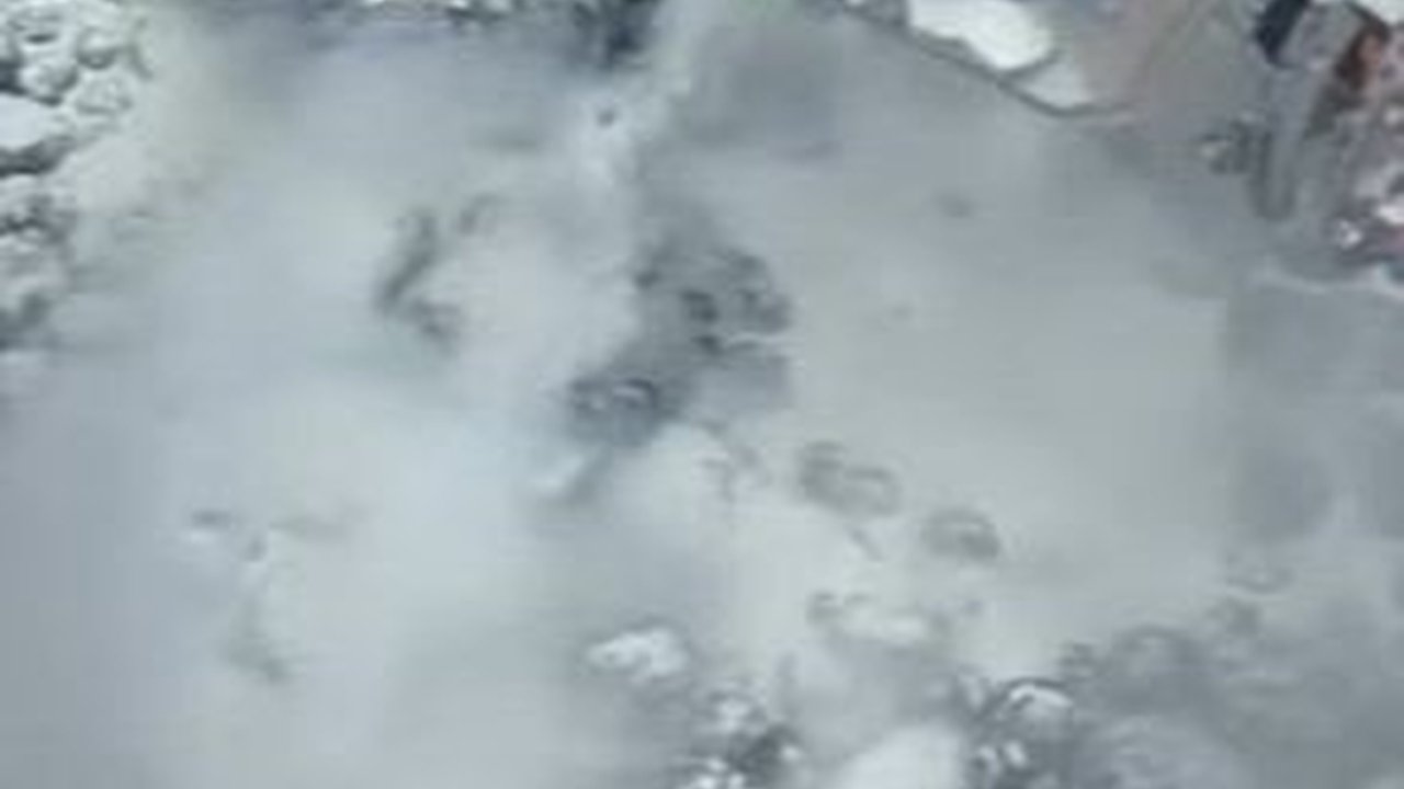 Heboh Penemuan Fosil Gigi Megalodon 10.000 Kaki di Bawah Laut