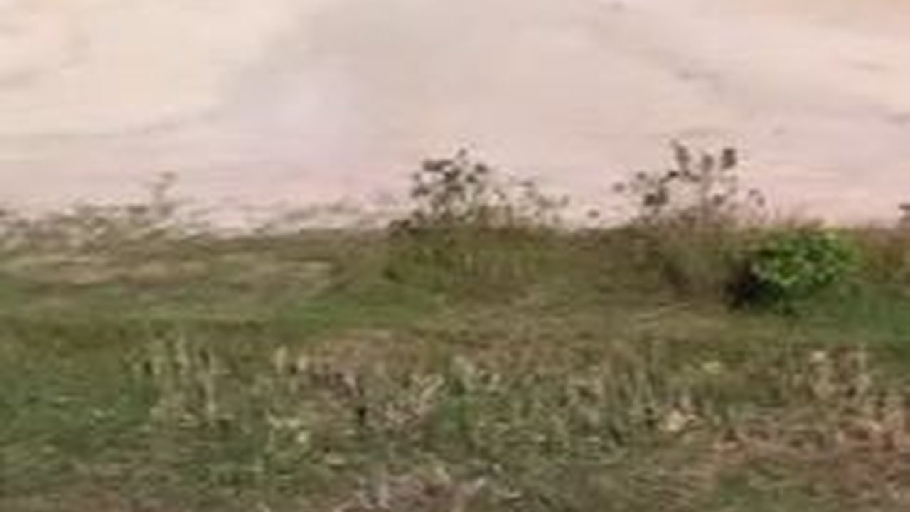 Melihat dari Dekat Bledug Anak Kesongo Blora, Terbentuk dari Tekanan Perut Bumi