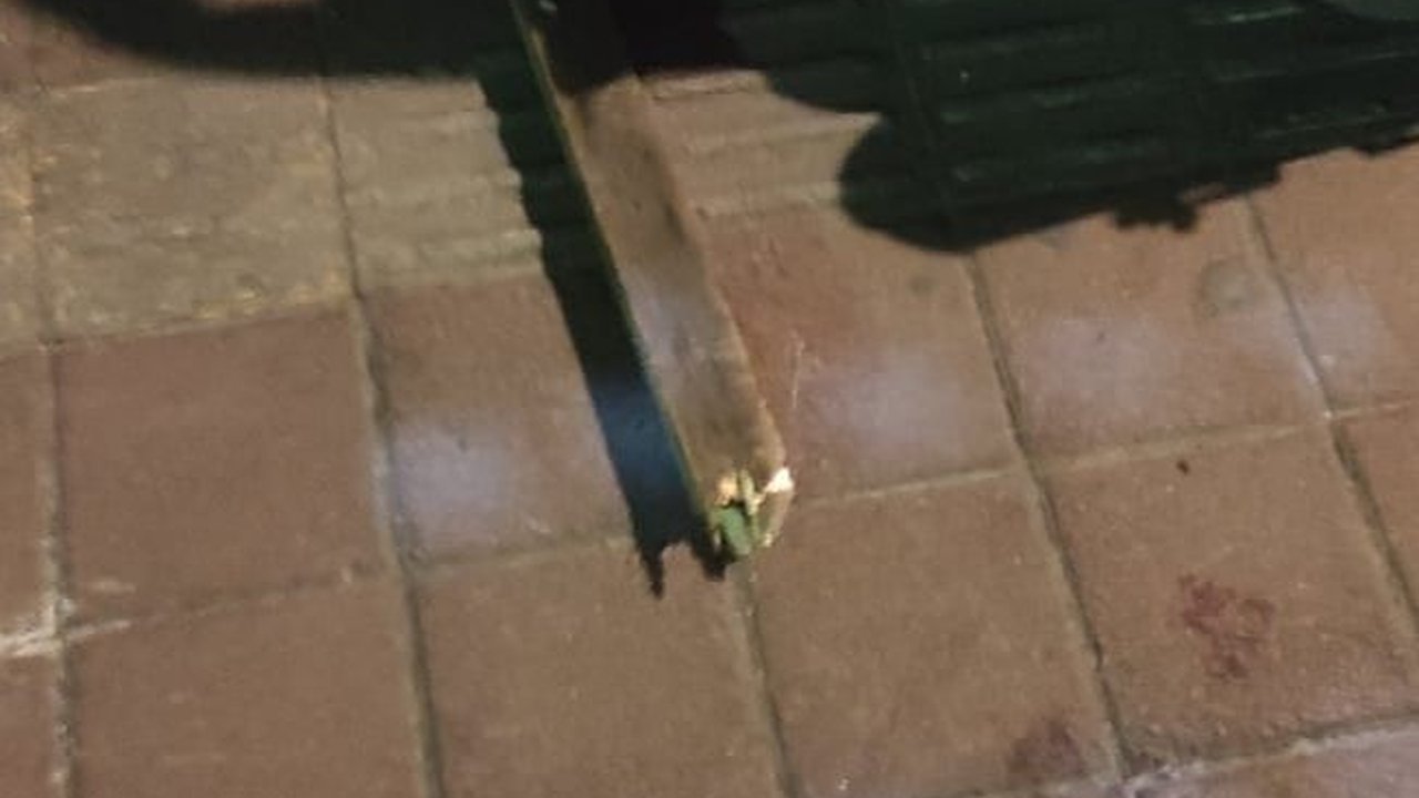 Gerombolan Pemotor Kembali Berulah di Denpasar, Keroyok Tiga Orang hingga Babak Belur