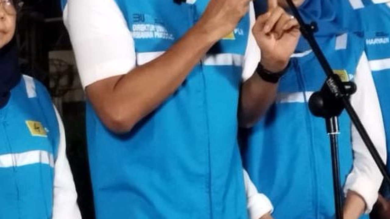 Indonesia Butuh Suntikan Modal Asing untuk Percepatan Transisi Energi Baru dan Terbarukan