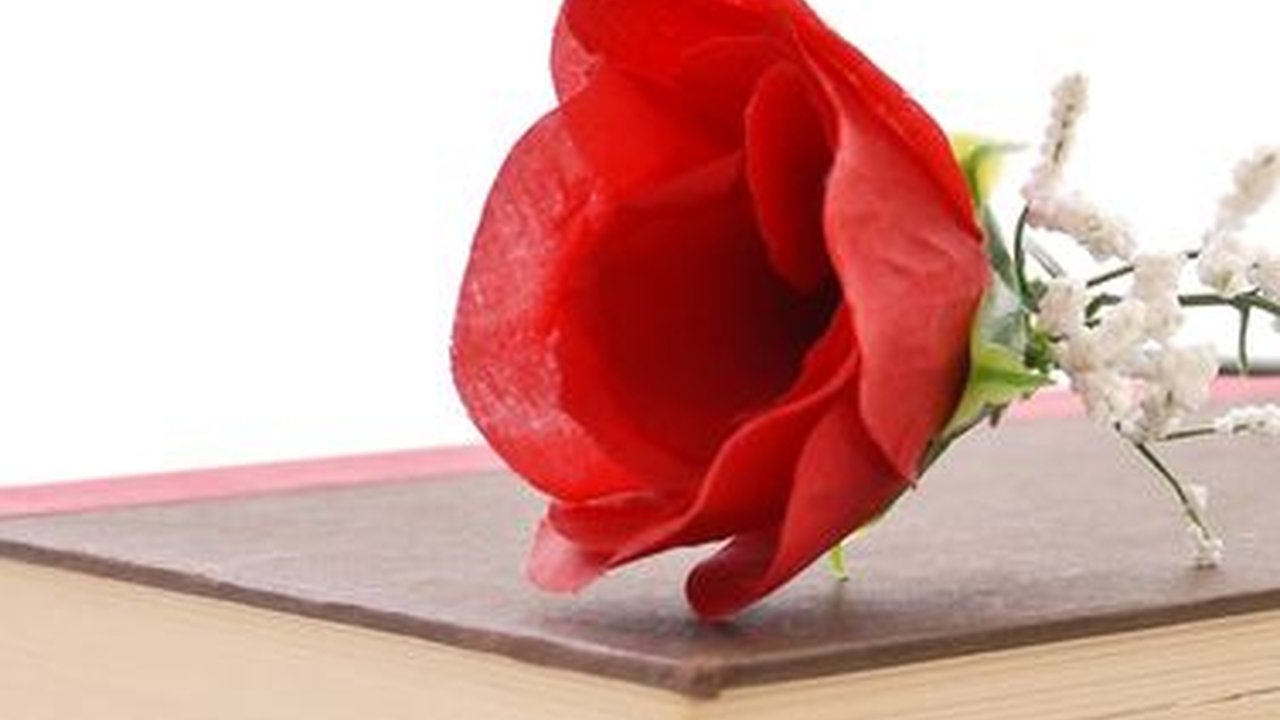 Perbedaan Cerpen dan Novel, Patut Dipahami bagi para Pecintanya