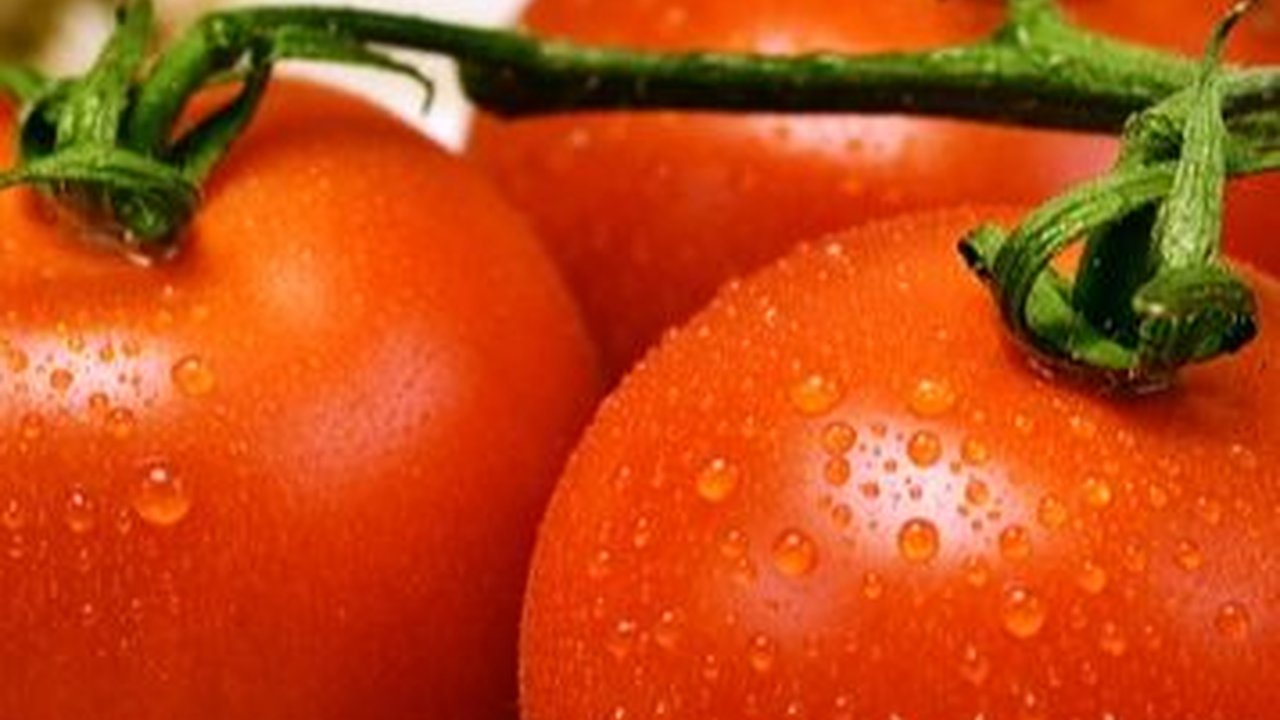 Manfaat Tomat untuk Kesehatan Manusia, Bisa Dikonsumsi Setiap Hari