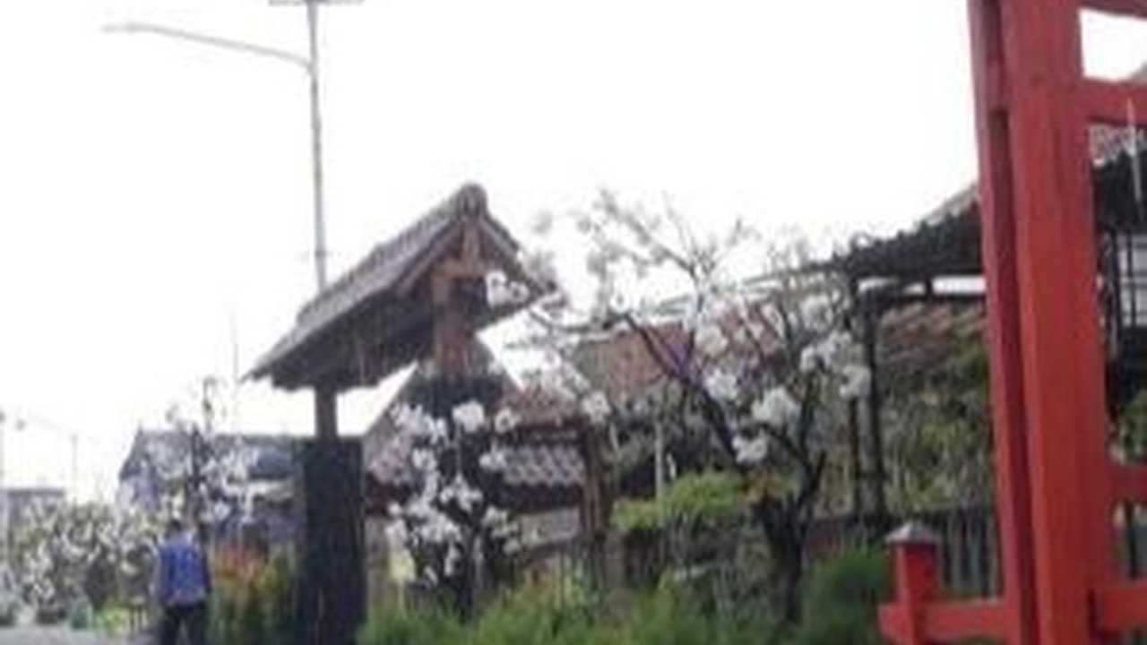 Mengintip Kampung Sakura Versi Kota Batu Tarik, Serasa di Jepang Beneran