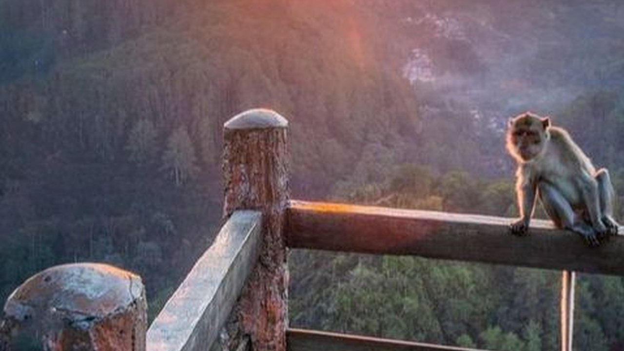 10 Wisata Bandung yang Indah Memesona, Destinasi Wajib saat Berkunjung