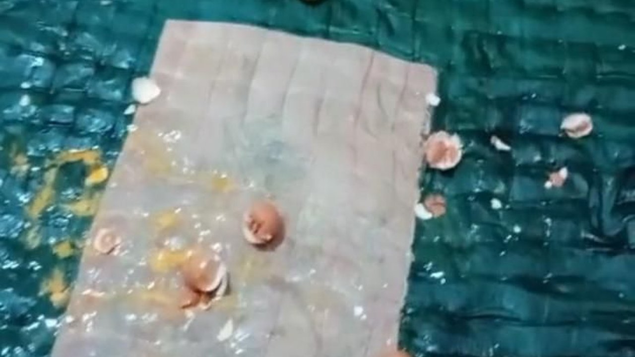Aksi Balita Pecahkan Telur Setengah Kilo di Atas Kasur Ini Viral, Respons Ibunya Tuai Pujian