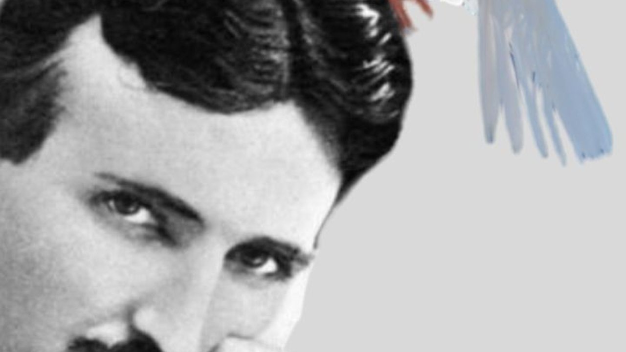 Saat Terpuruk, Hewan Ini Jadi “Teman Ngobrol” Nikola Tesla