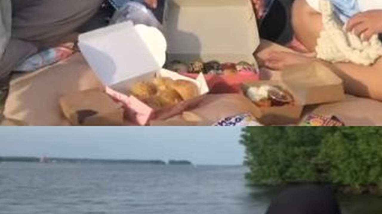 HP Wanita Ini Jatuh ke Tepi Laut Hutan Mangrove yang Diduga Ada Buayanya, Begini Kronologinya yang Bikin Elus Dada