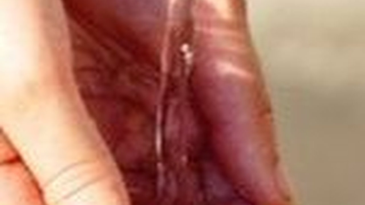 Doa Wudhu Lengkap dengan Tata Caranya Tiap Gerakan Sesuai Aturan Dalam Islam