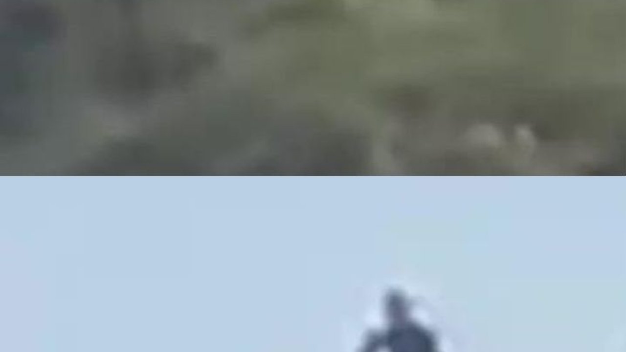 Sedang Mendaki Bukit, Keluarga Ini Lihat Penampakan Aneh yang Diklaim Alien, Begini Sosoknya