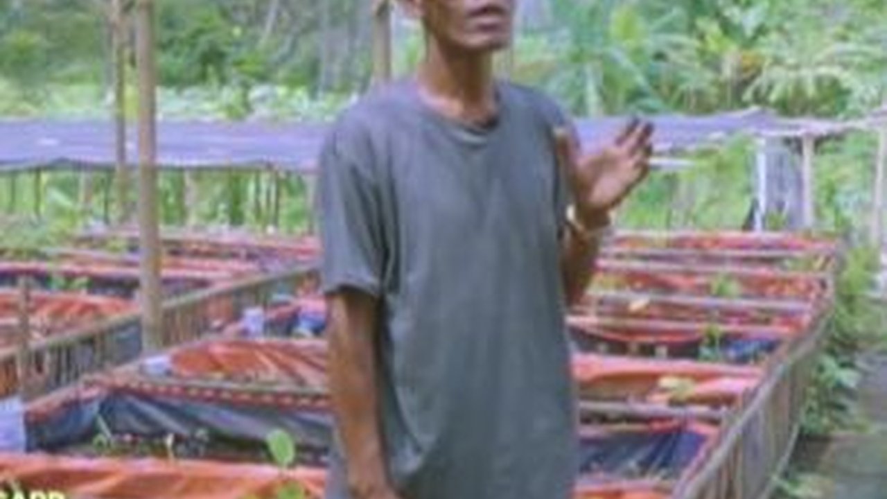 Sempat Bohongi Istri, Pria Sleman Ini Sukses Budidaya Belut hingga Punya 200 Kolam