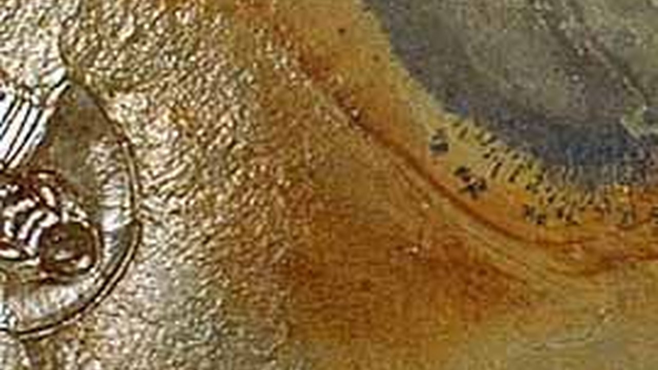 Hewan Purba Ini Gunakan Tanduk Paku Aneh untuk Menangkap Mangsa