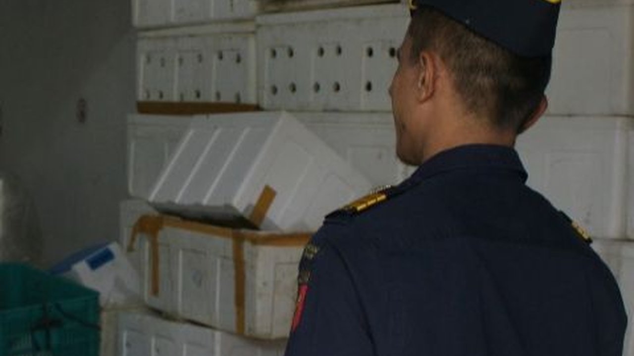 Bangga! Perusahaan Asal Banda Aceh Ekspor Perdana Kerang Hidup ke Vietnam