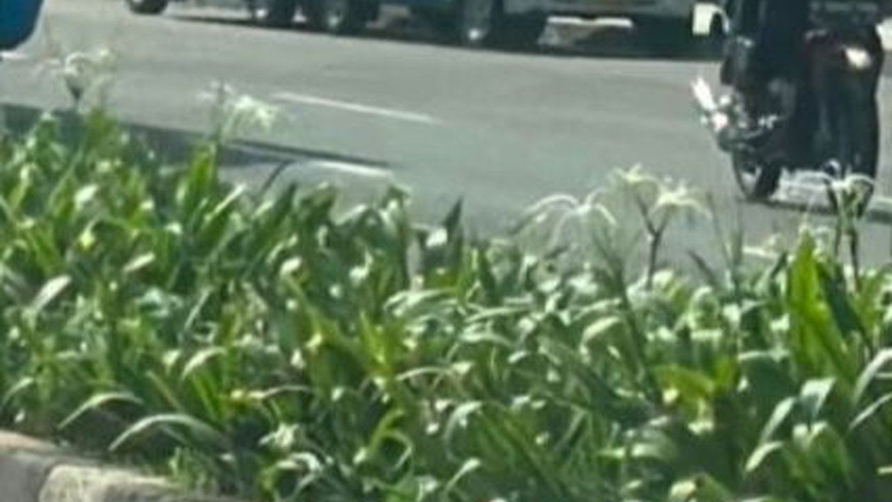 Viral Sopir Bajaj Menangis usai Dapat Kabar Keluarganya Diusir dari Kontrakan, Bikin Haru