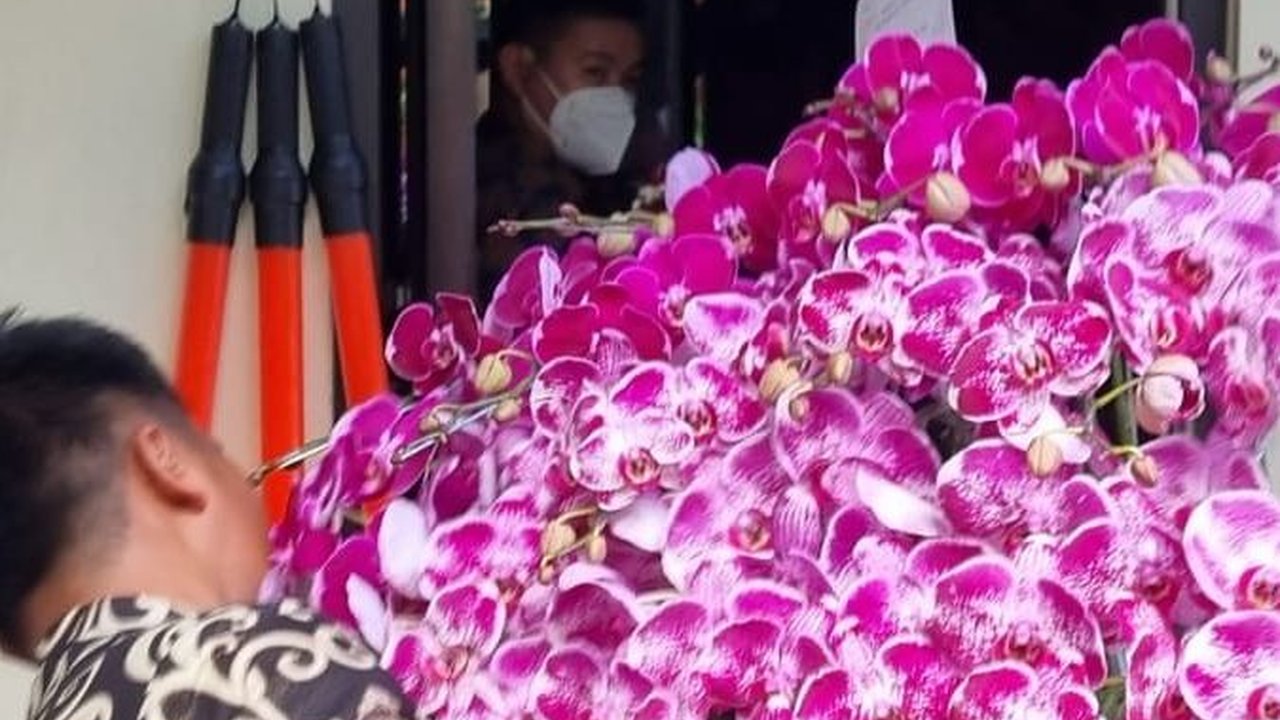 Jokowi Kirim Bunga Anggrek Warna Ungu ke Megawati yang Ultah ke-77