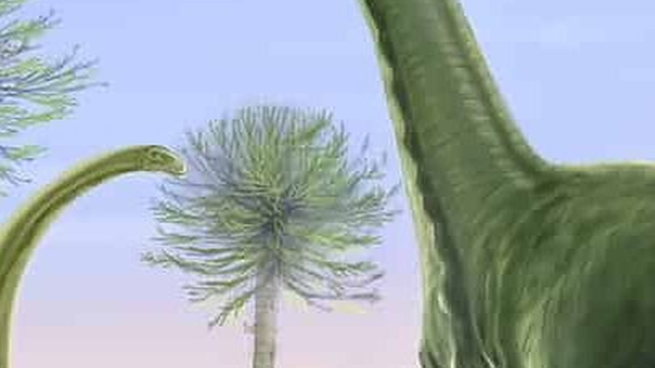 Spesies Baru dari Dinosaurus Sauropod Telah Ditemukan di Argentina