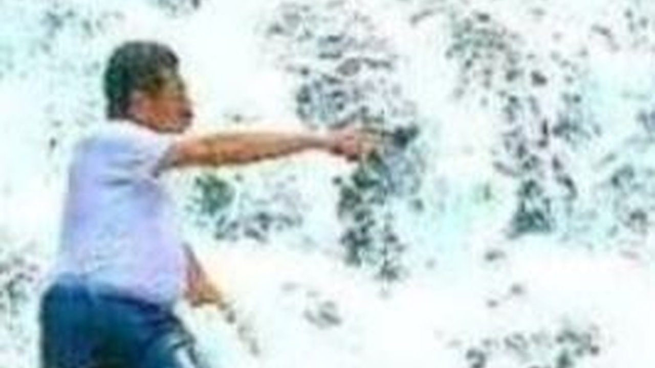 Pemkab Paser Kembangkan Pesona Air Terjun Lempesu untuk Wisatawan