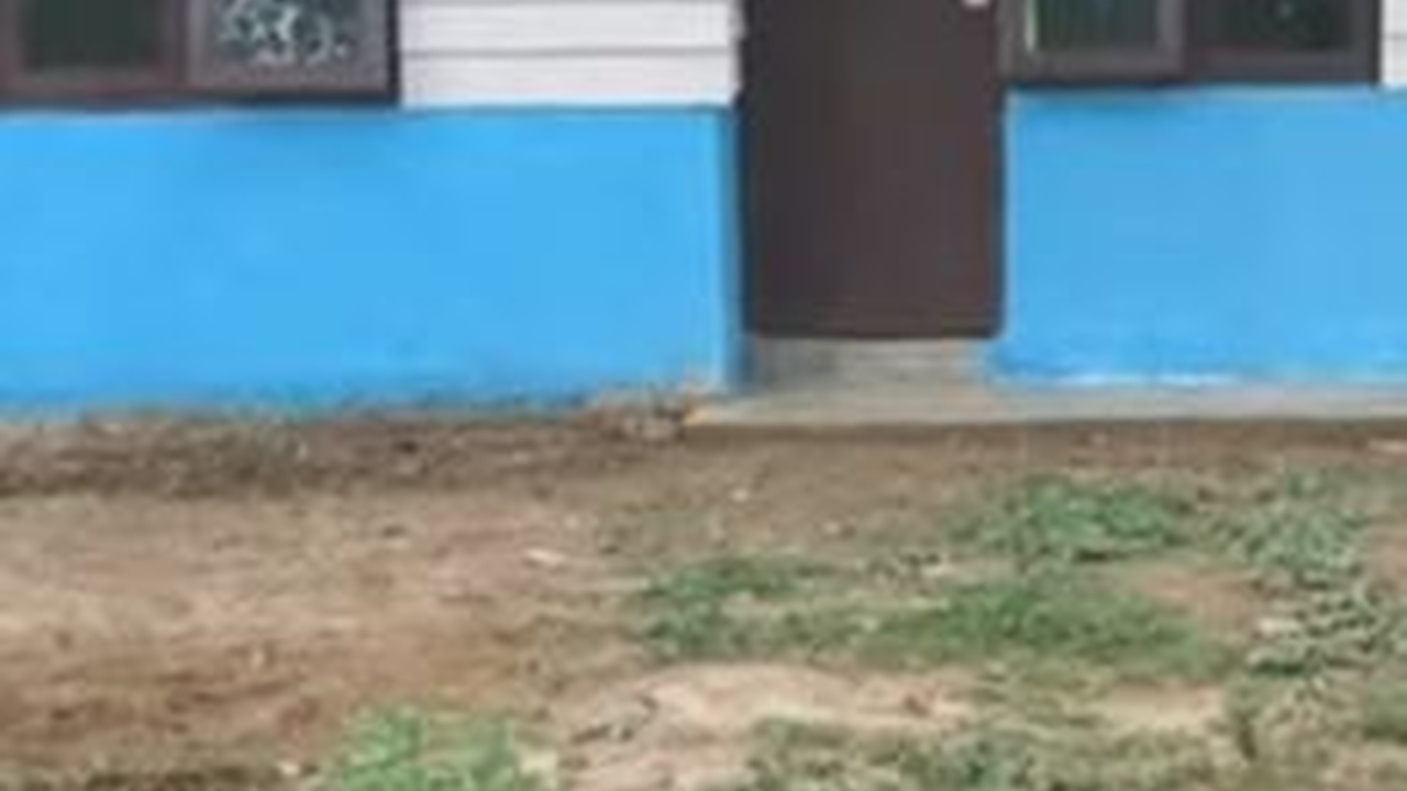 Dikelilingi Hutan, Begini Penampakan Rumah Transmigrasi di Sulawesi Tenggara