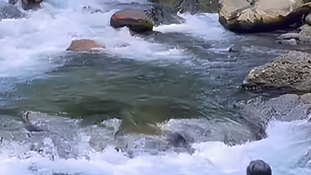 Sejuknya Berenang di Sungai Cipaniis Kuningan, Airnya Sebening Kaca