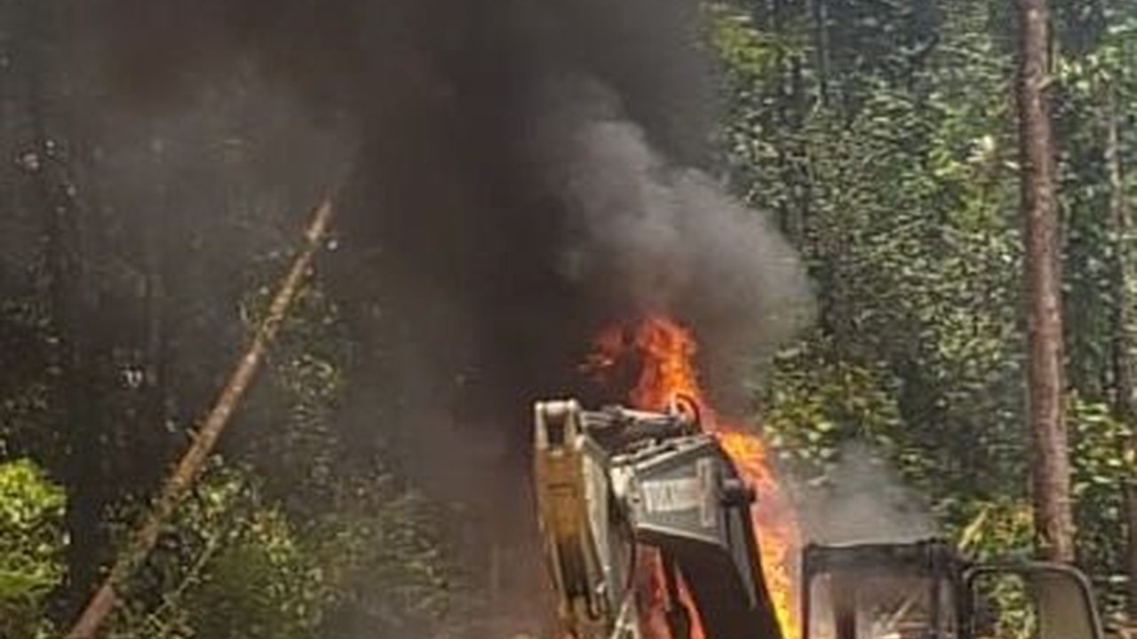 Satgas Gabungan TNI-Polri Tembak Satu Anggota KKB Papua Harisatu Nambagi, Total 6 Orang Tewas