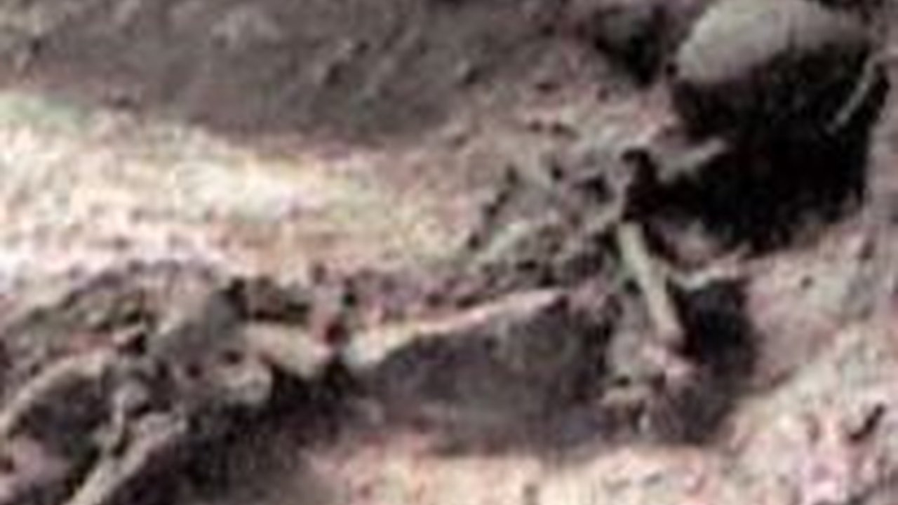 Bikin Merinding, 3.700 Tahun Lalu Manusia Dijadikan Tumbal, Ini Tujuannya