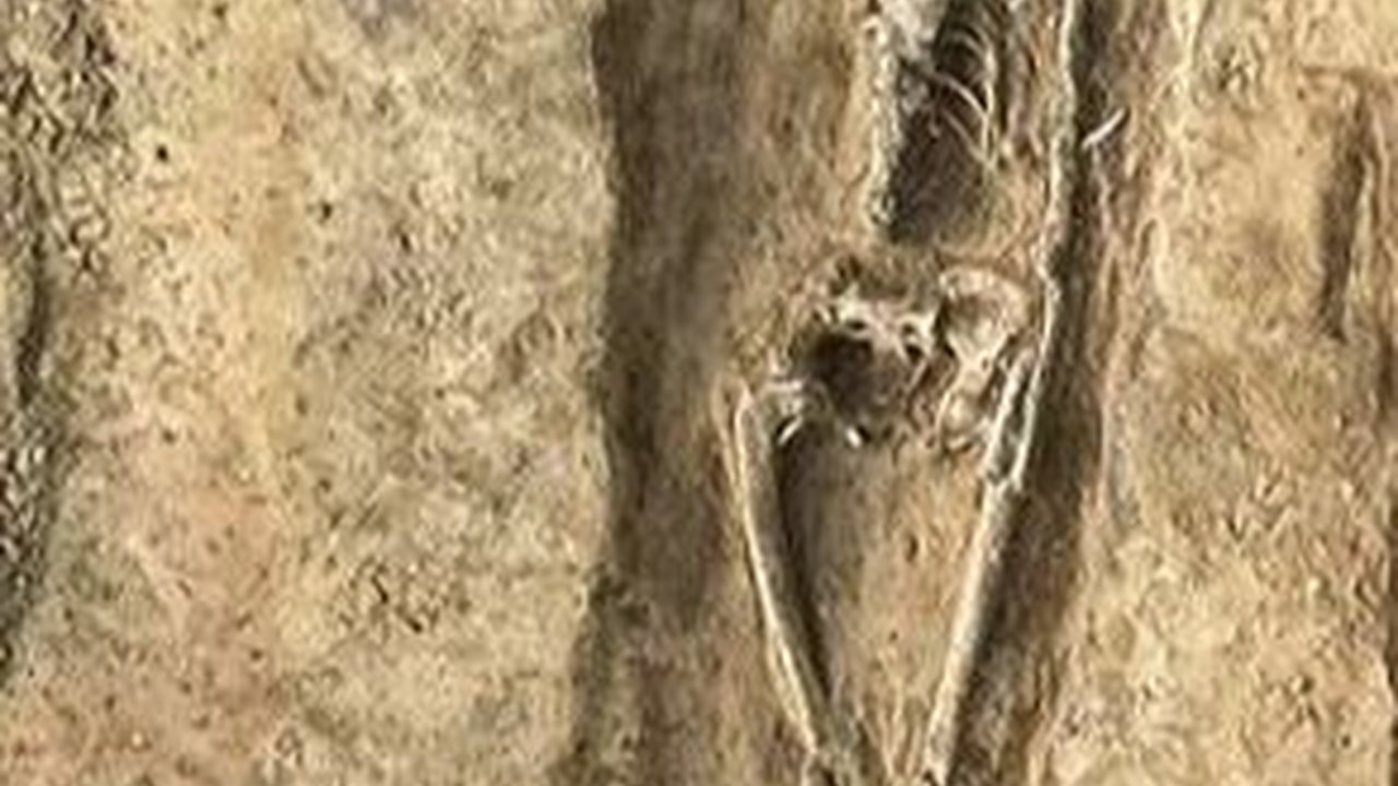 Makam Berusia 1000 Tahun Berisi Jasad Wanita Tanpa Wajah, Ternyata Sosok Penting