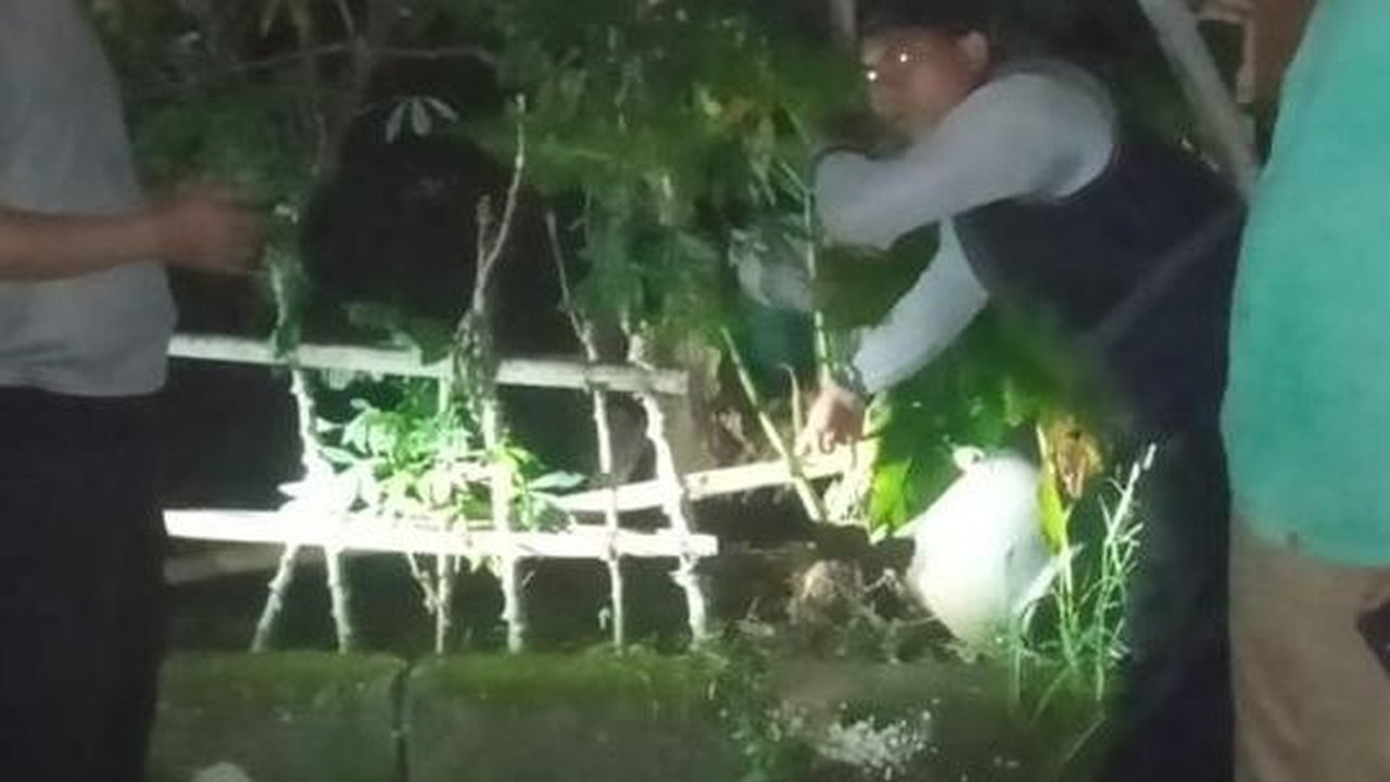 Miris, Bayi Perempuan Dibungkus Kresek Dibuang di Perkebunan